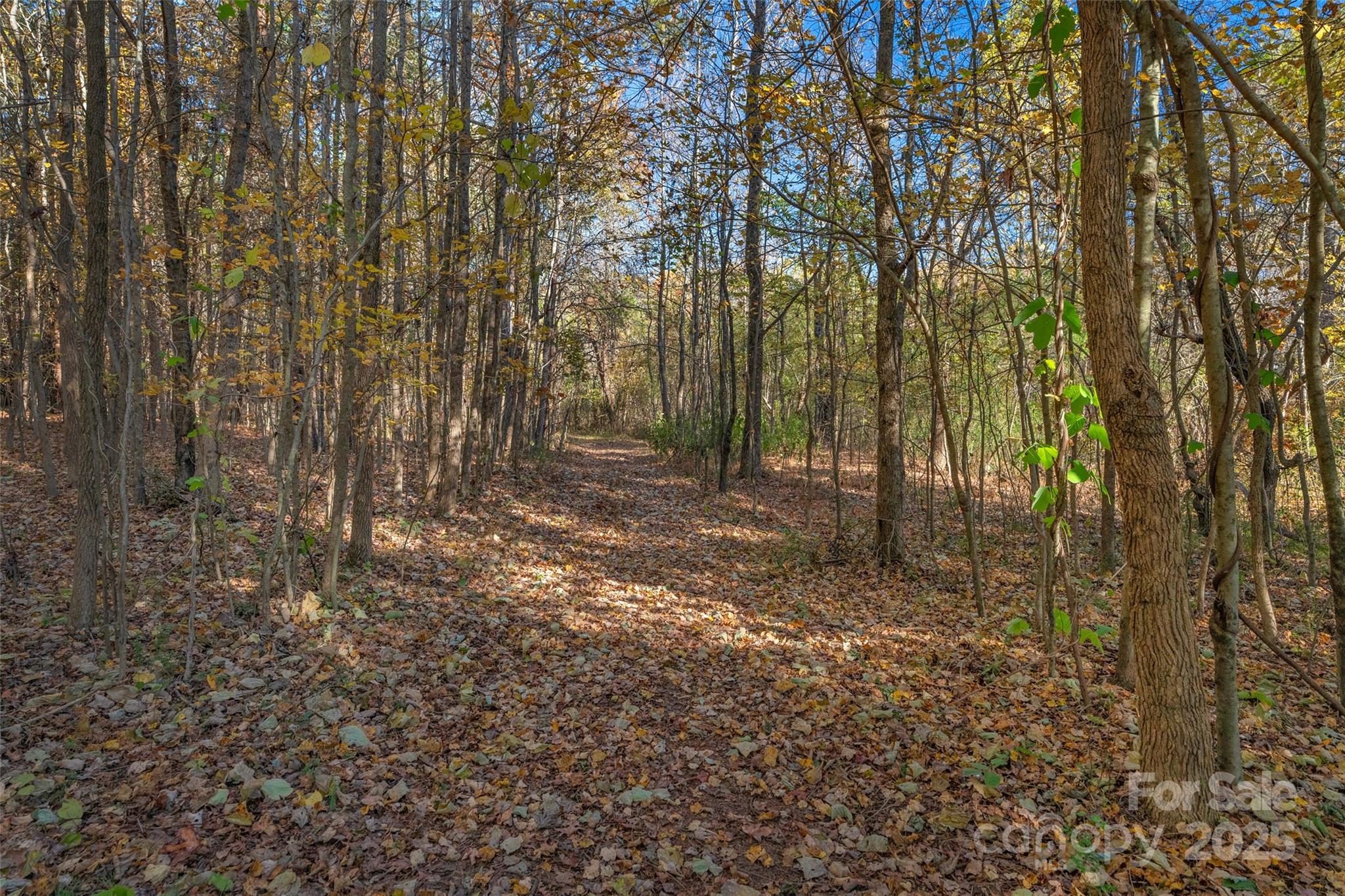 0 Bud Davis Road, Unit 6 Vale, NC 28168 - Photo 24 of 30 a view of a trees and yard