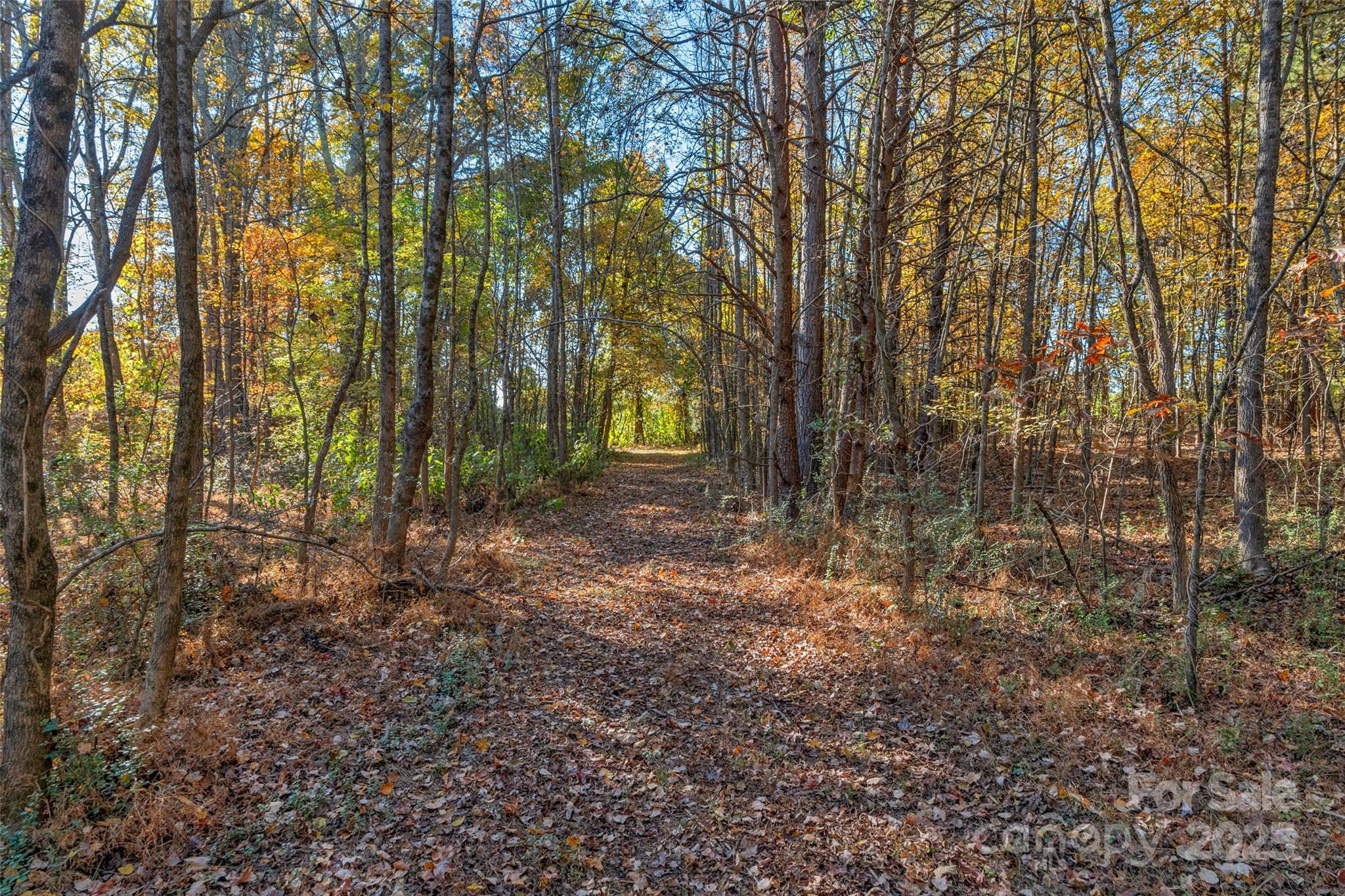 0 Bud Davis Road, Unit 6 Vale, NC 28168 - Photo 25 of 30 a view of a yard with lots of trees