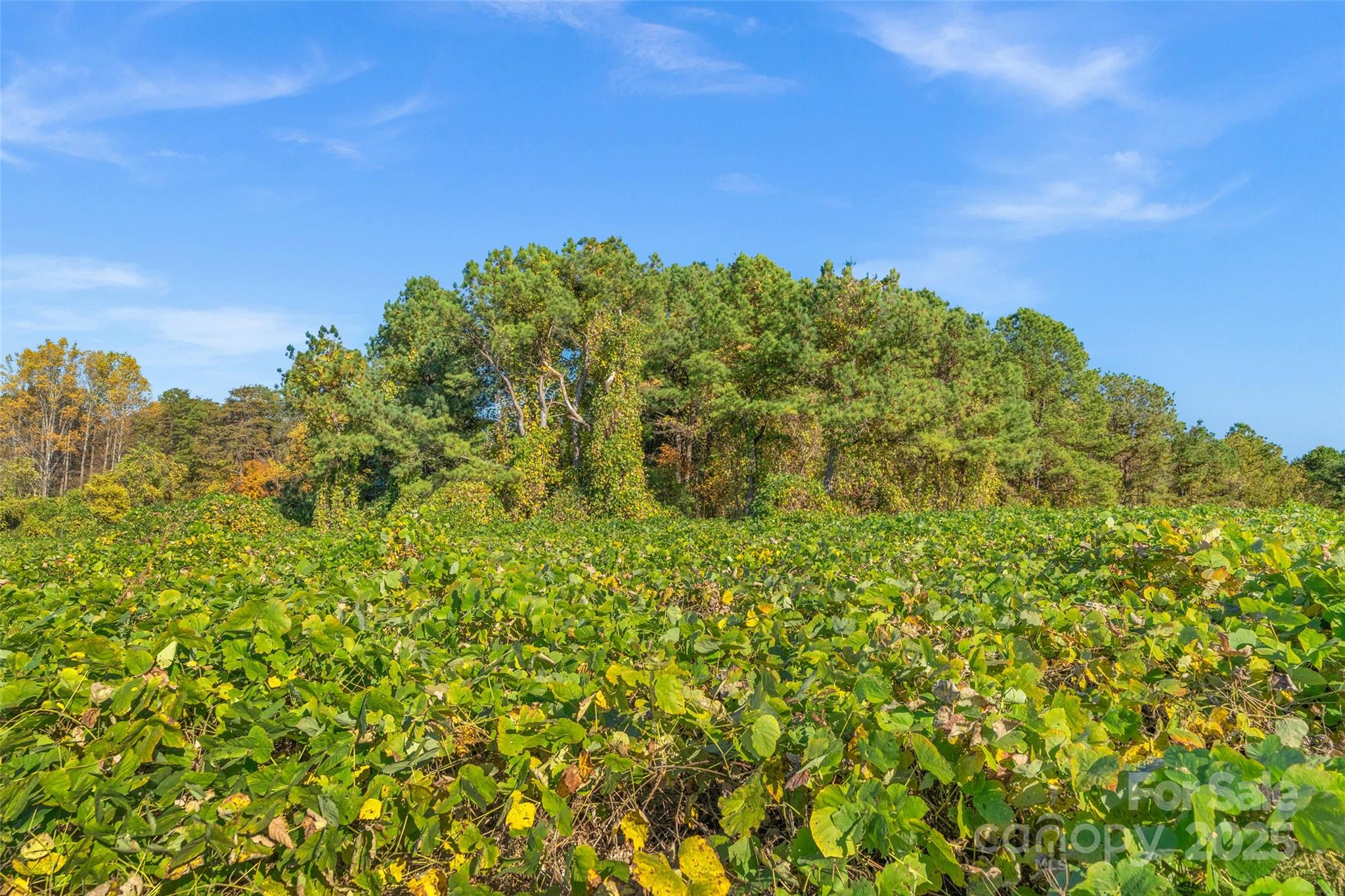 0 Bud Davis Road, Unit 6 Vale, NC 28168 - Photo 28 of 30
