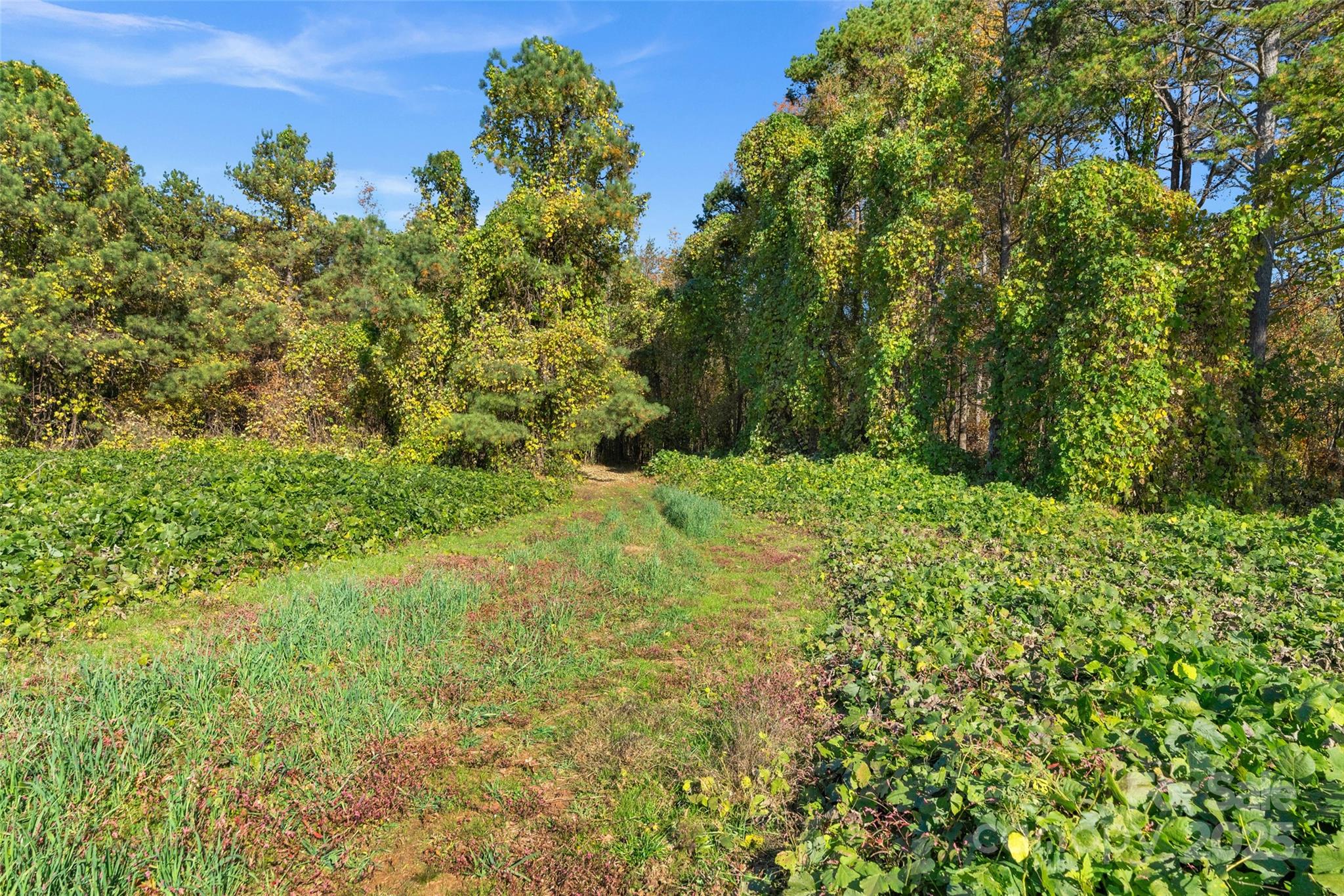 0 Bud Davis Road, Unit 6 Vale, NC 28168 - Photo 4 of 30 a view of a garden