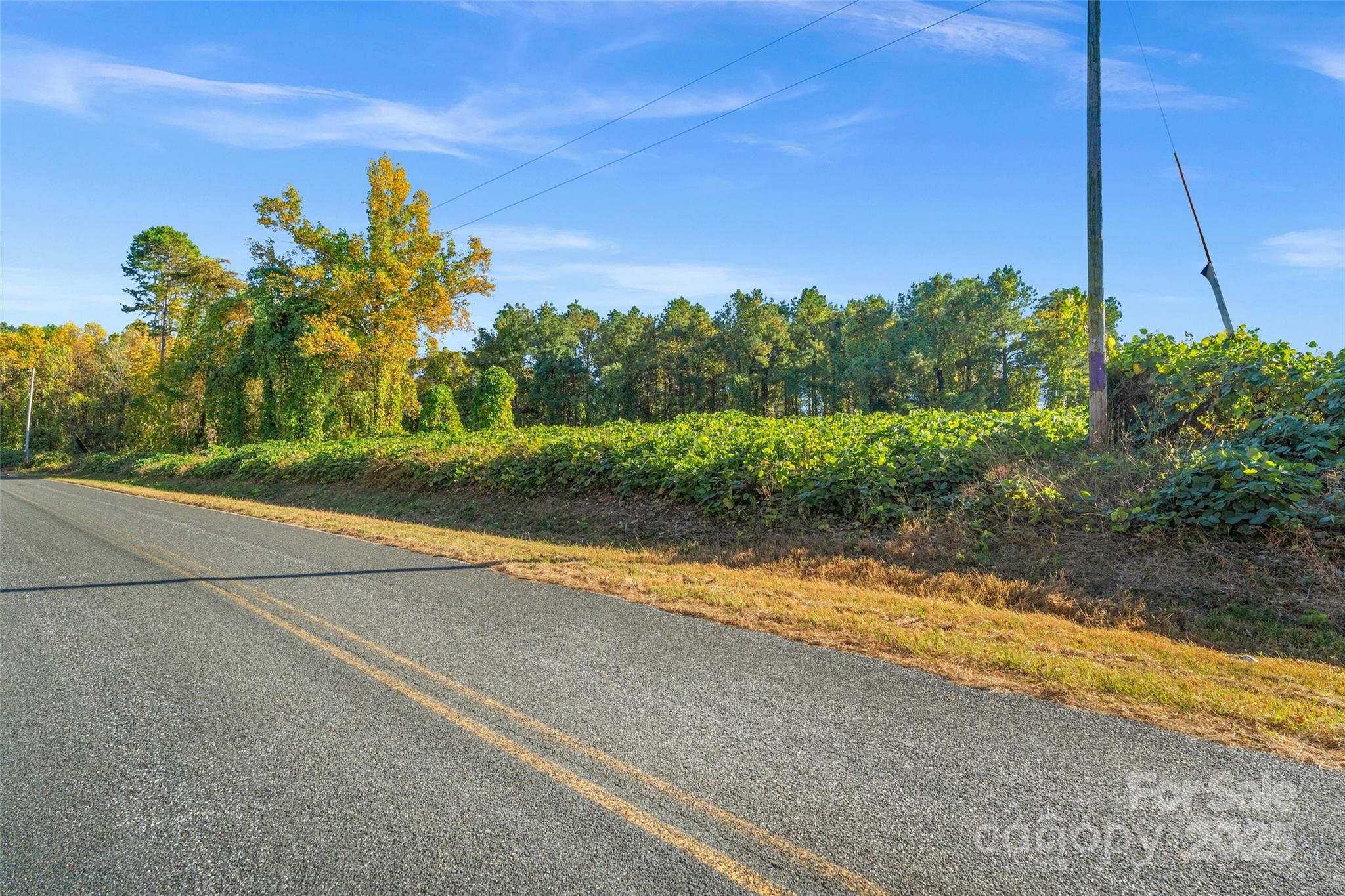 0 Bud Davis Road, Unit 6 Vale, NC 28168 - Photo 5 of 30 a view of a yard with palm tree