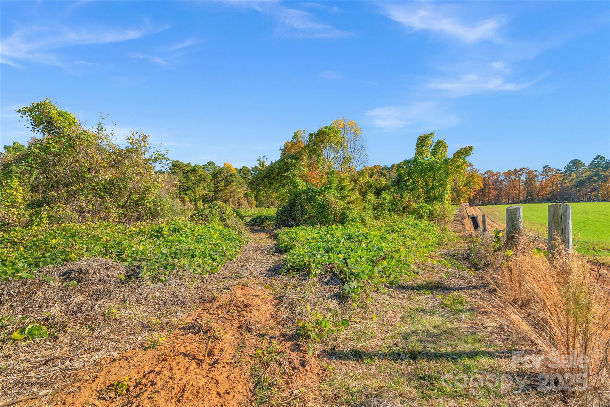 0 Bud Davis Road, Unit 6 Vale, NC 28168 - Photo 7 of 30 a view of a garden