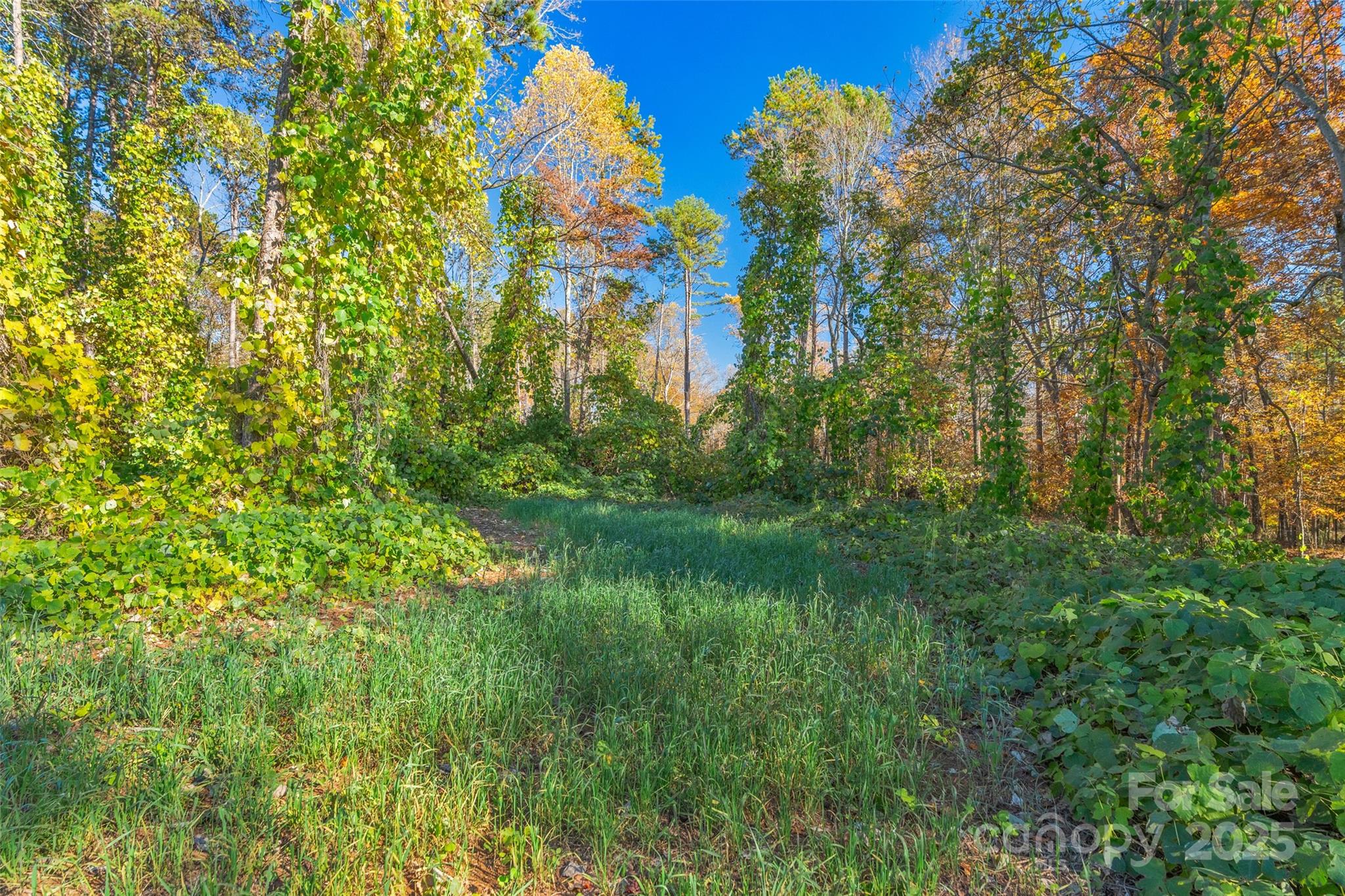 0 Bud Davis Road, Unit 6 Vale, NC 28168 - Photo 8 of 30 a backyard of a house with lots of green space and chair