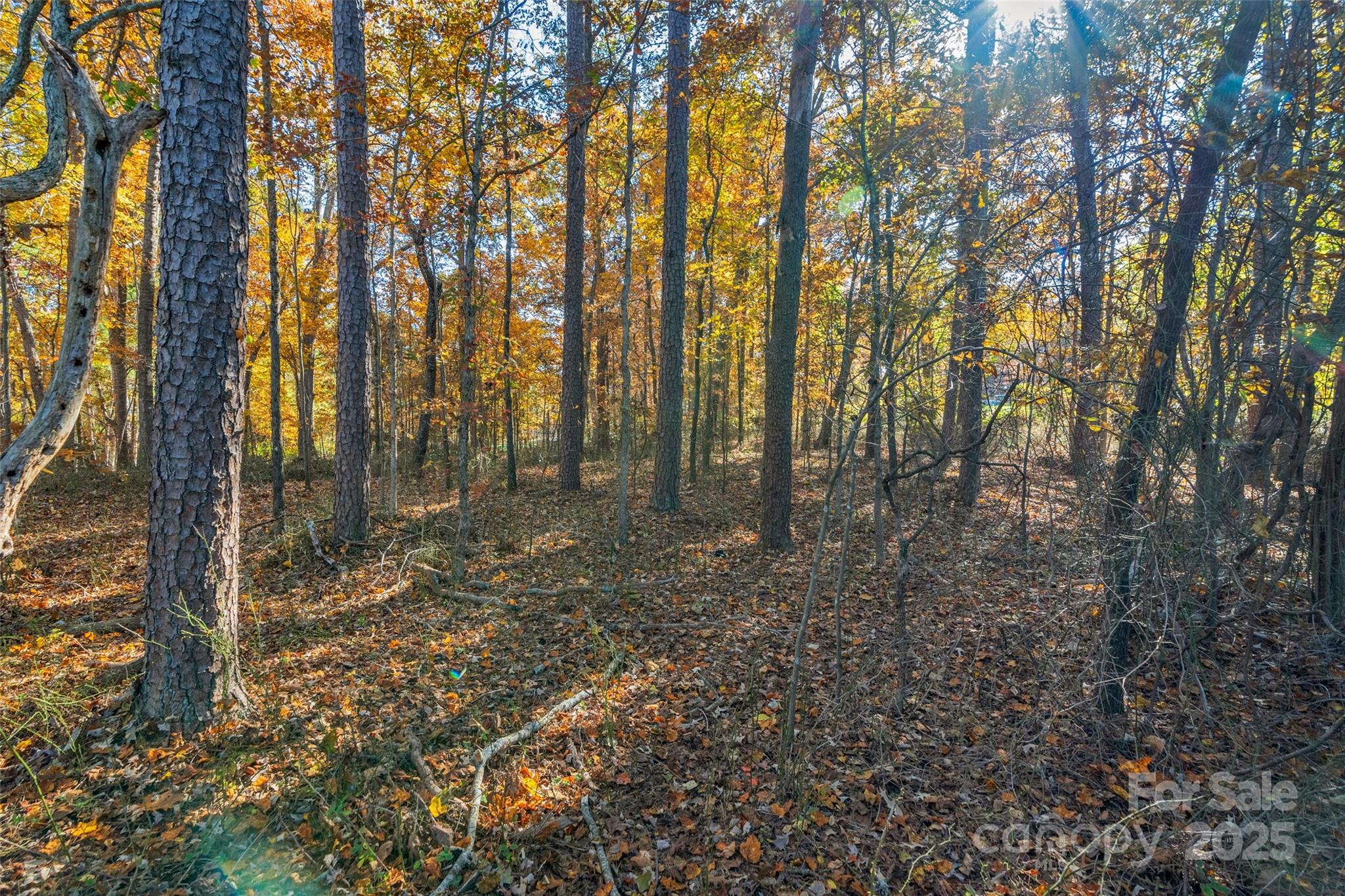0 Bud Davis Road, Unit 6 Vale, NC 28168 - Photo 9 of 30 a view of outdoor space with lots of trees