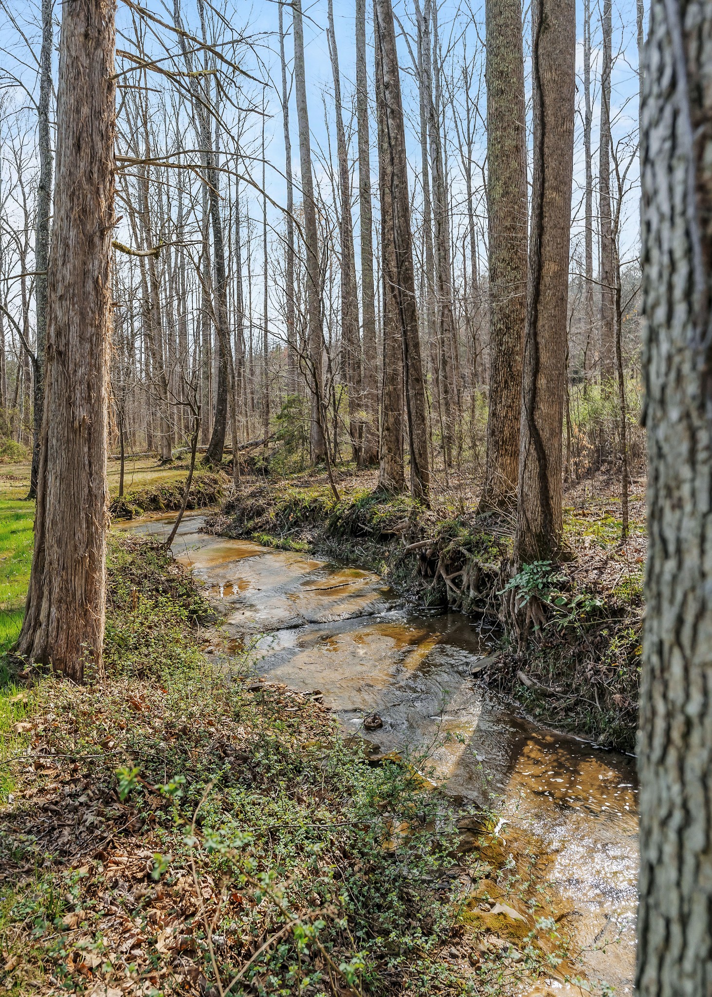 265 Raintree Drive Livingston, TN 38570 - Photo 70 of 70 Gallery Image 70