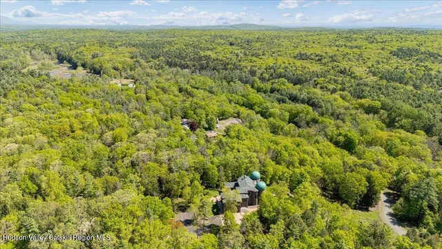 a view of a big yard with lots of trees