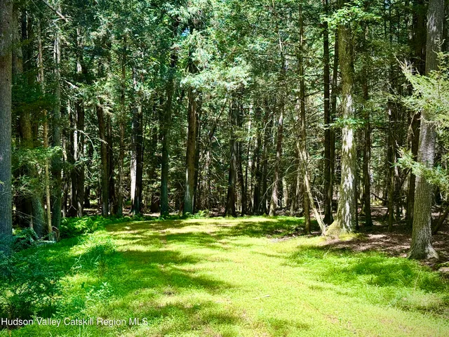 a view of outdoor space with a lake view