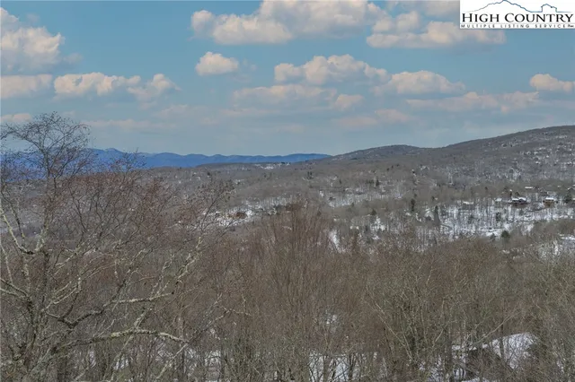 a view of a forest filled with trees