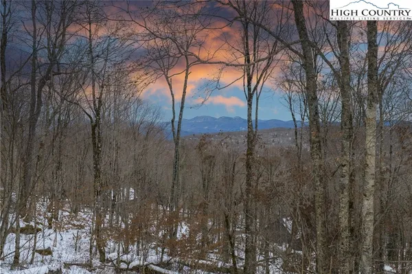 a view of a pathway with a yard