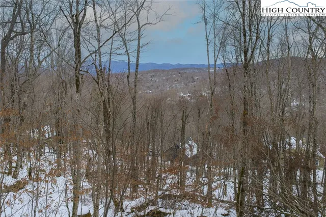 a view of a road with snow on the road