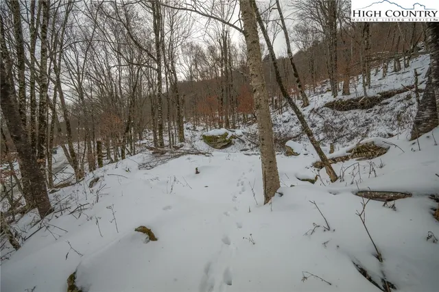 a view of a backyard of the house