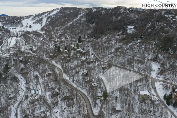 a view of a forest with mountains in the background