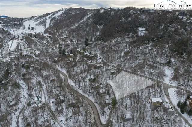 a view of a forest with mountains in the background
