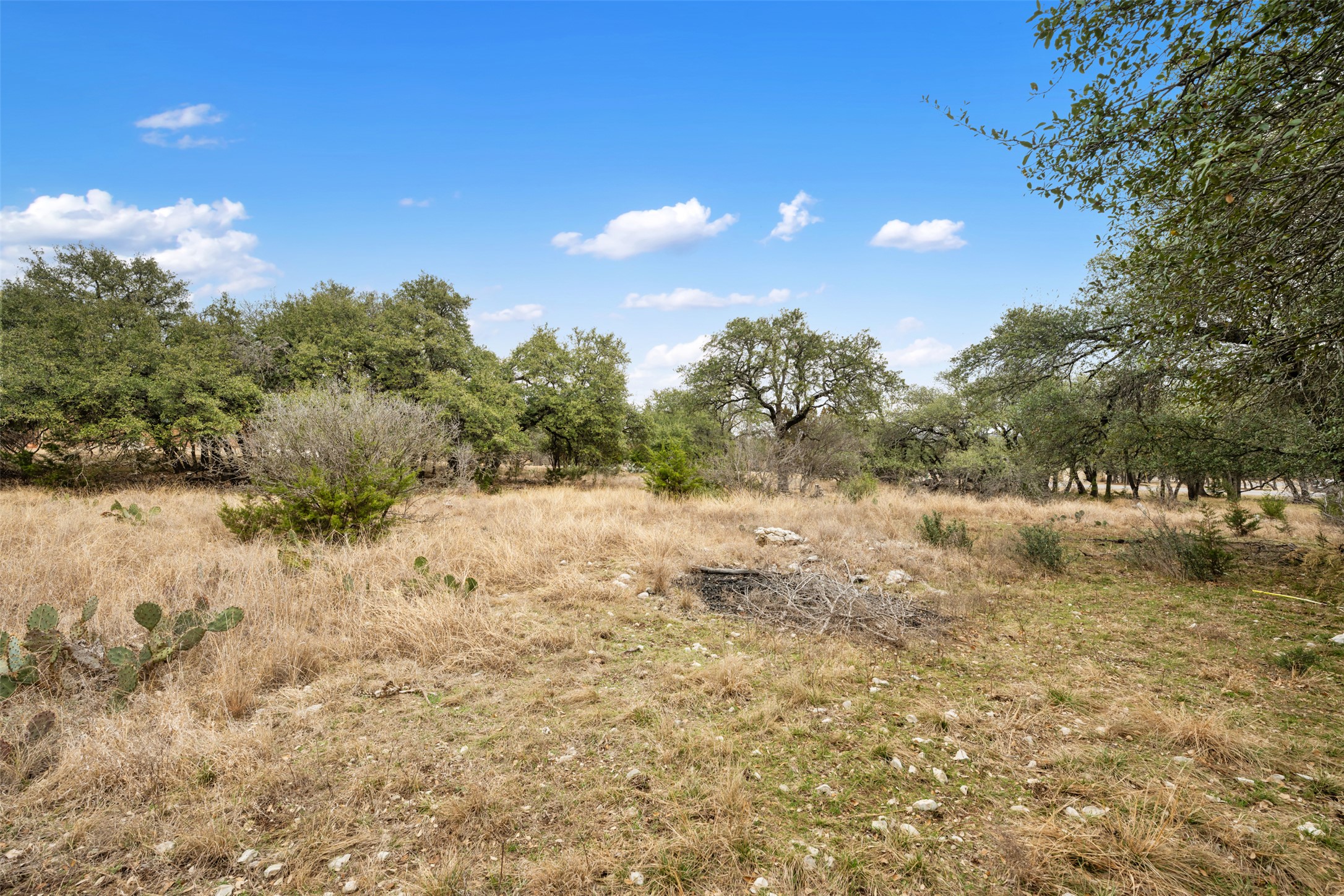 408 Ridge View Drive Georgetown, TX 78628 - Photo 12 of 23