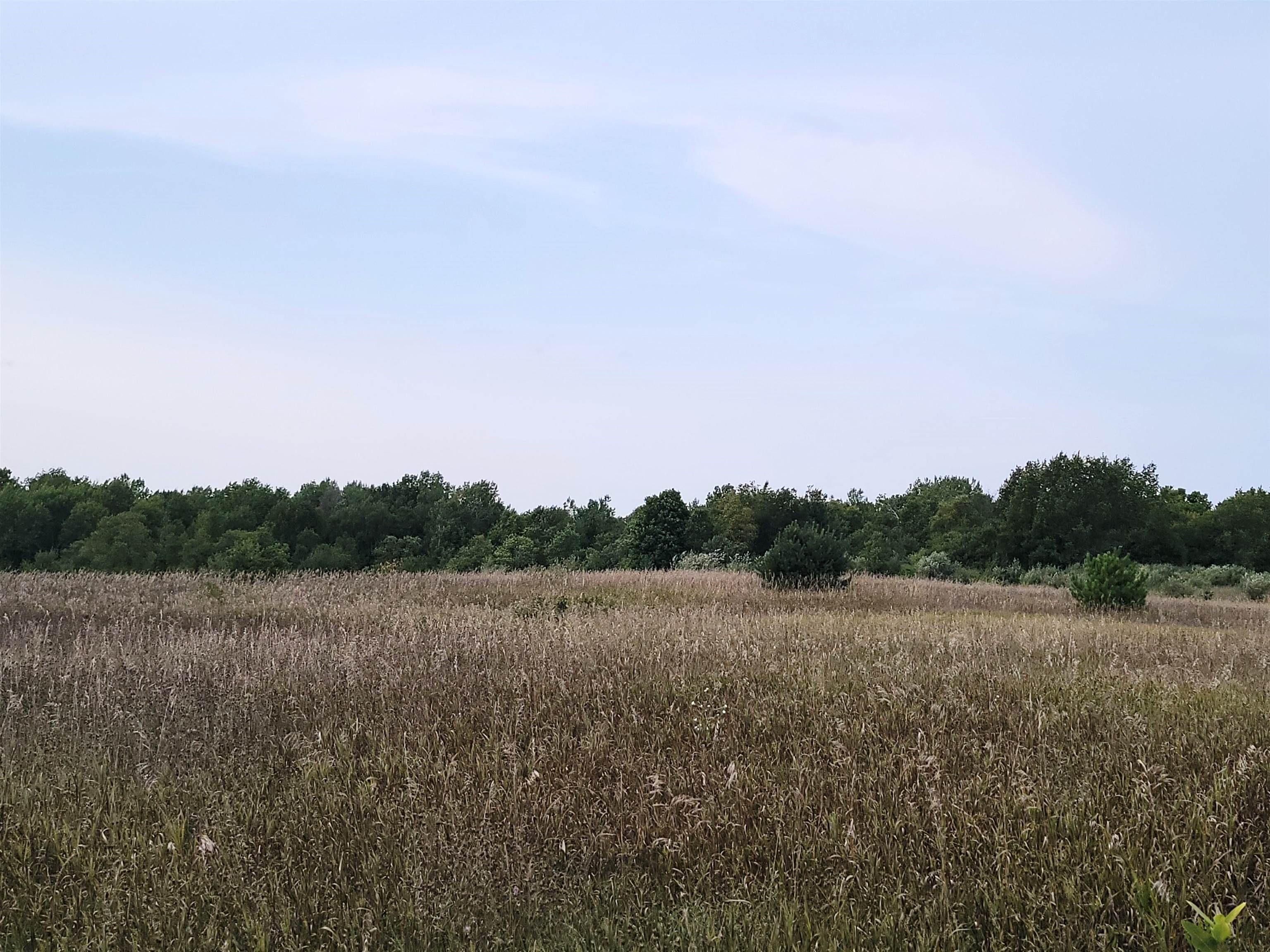 0 Plum Valley Road Northwest Alden, MI 49612 - Photo 9 of 18
