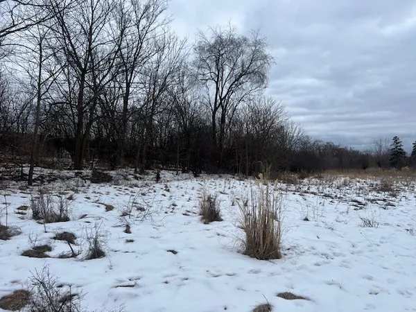 a view of outdoor space yard and lake view