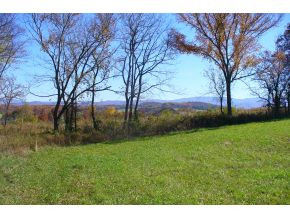 Lot 9 Garland Road, Unit 9 Limestone, TN 37681 - Photo 3 of 6 Photo 3