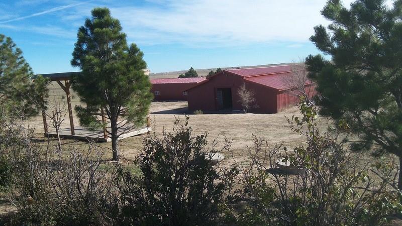 12780 Blasingame Road Calhan, CO 80808 - Photo 4 of 19