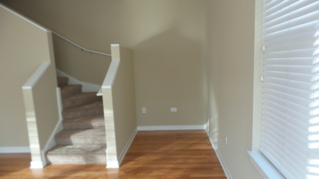 1244 West Monroe Street, Unit 1 Chicago, IL 60607 - Photo 13 of 25 a view of entryway