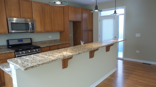 1244 West Monroe Street, Unit 1 Chicago, IL 60607 - Photo 16 of 25 a kitchen with stainless steel appliances granite countertop a sink a stove and a microwave