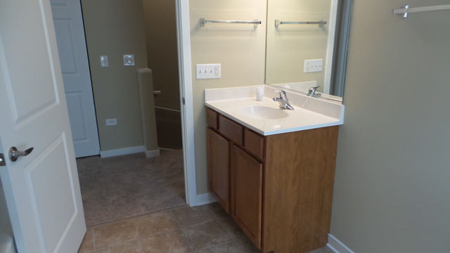 1244 West Monroe Street, Unit 1 Chicago, IL 60607 - Photo 25 of 25 a bathroom with a sink and a mirror