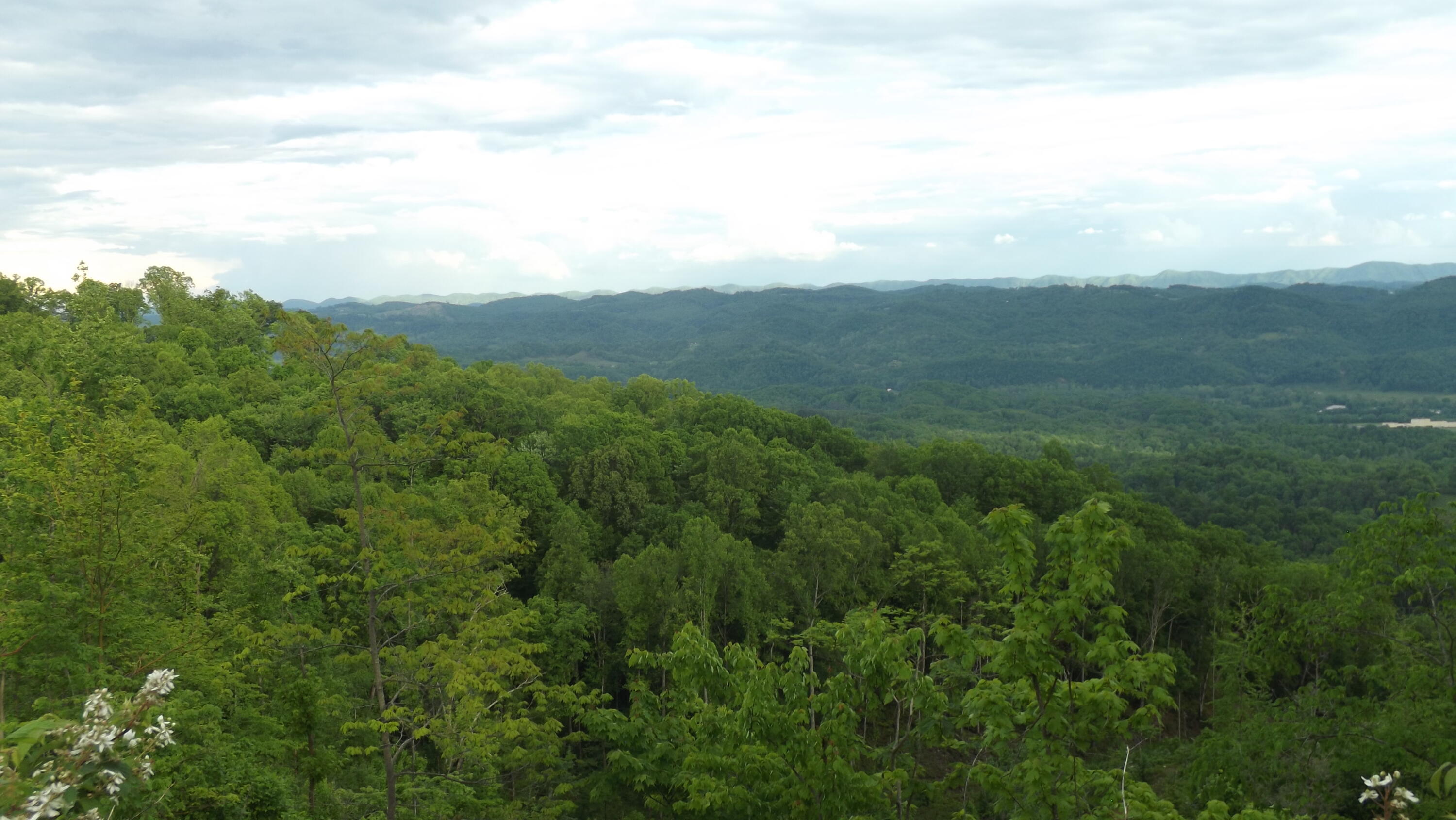 0 Osborne Ridge Road Dungannon, VA 24245 - Photo 15 of 23 DSCF3753