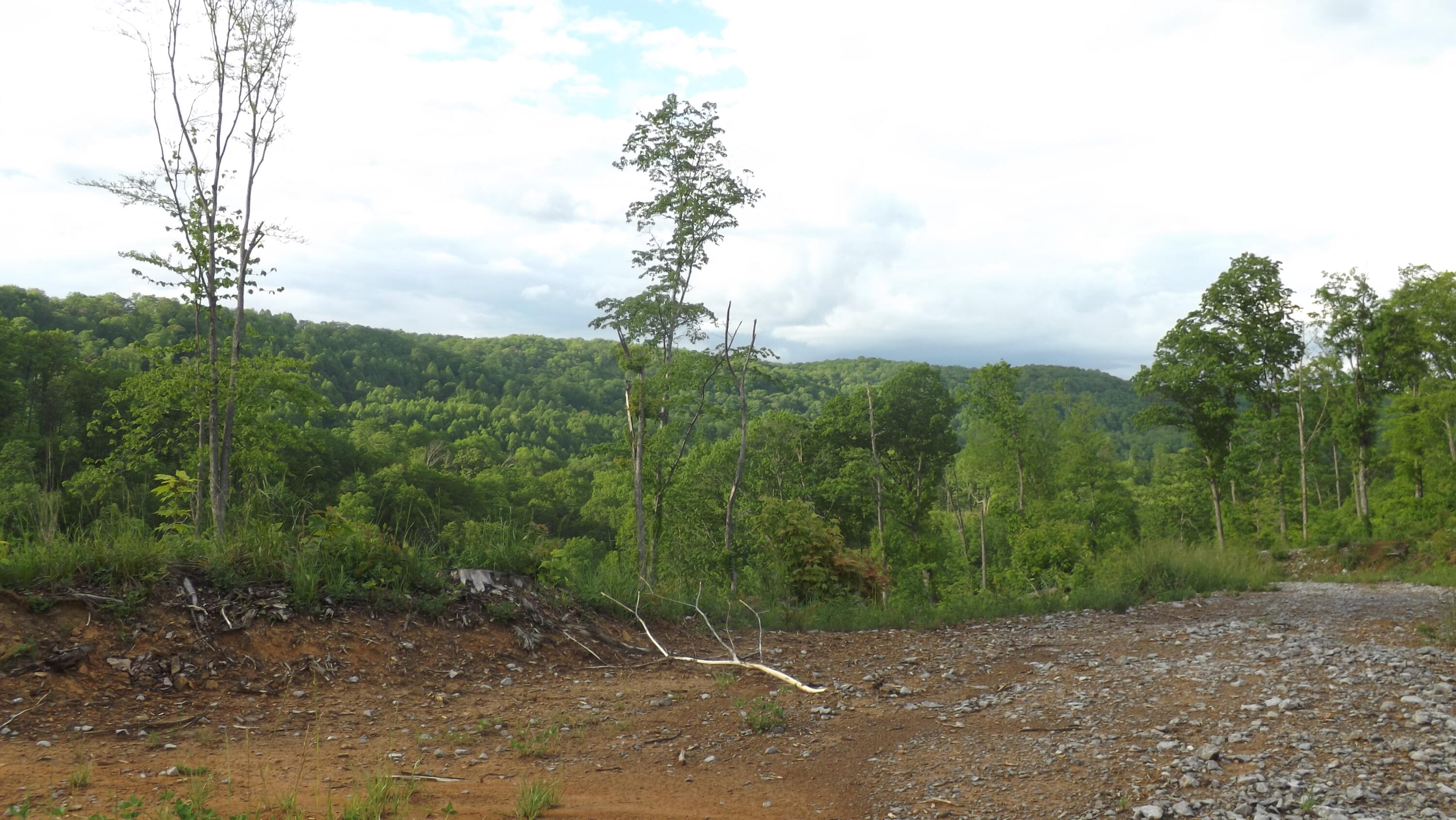0 Osborne Ridge Road Dungannon, VA 24245 - Photo 16 of 23 DSCF3754