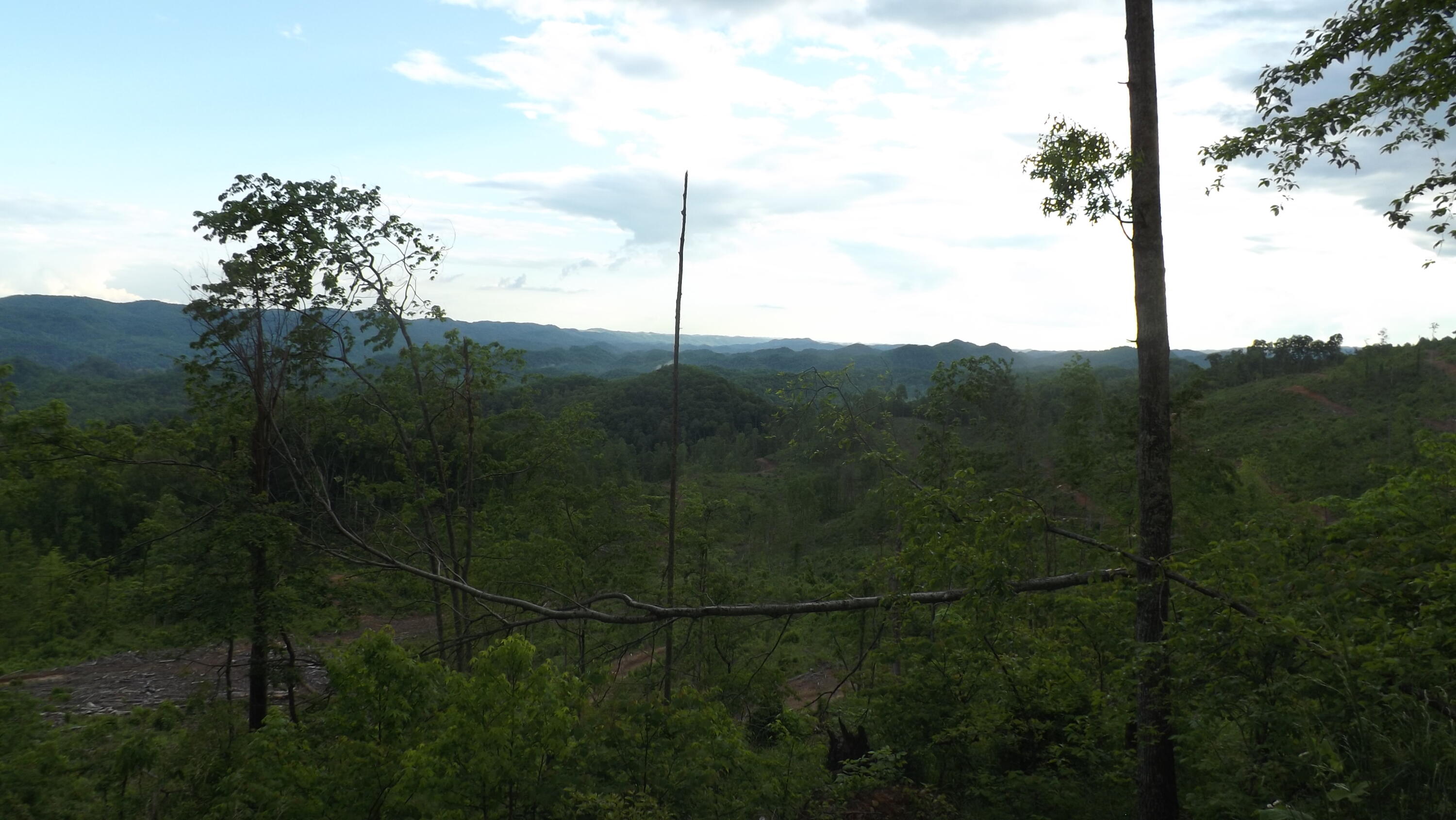 0 Osborne Ridge Road Dungannon, VA 24245 - Photo 18 of 23 DSCF3757