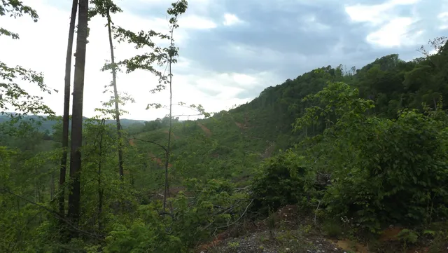 $325,000 | 0 Osborne Ridge Road, Dungannon, VA 24245