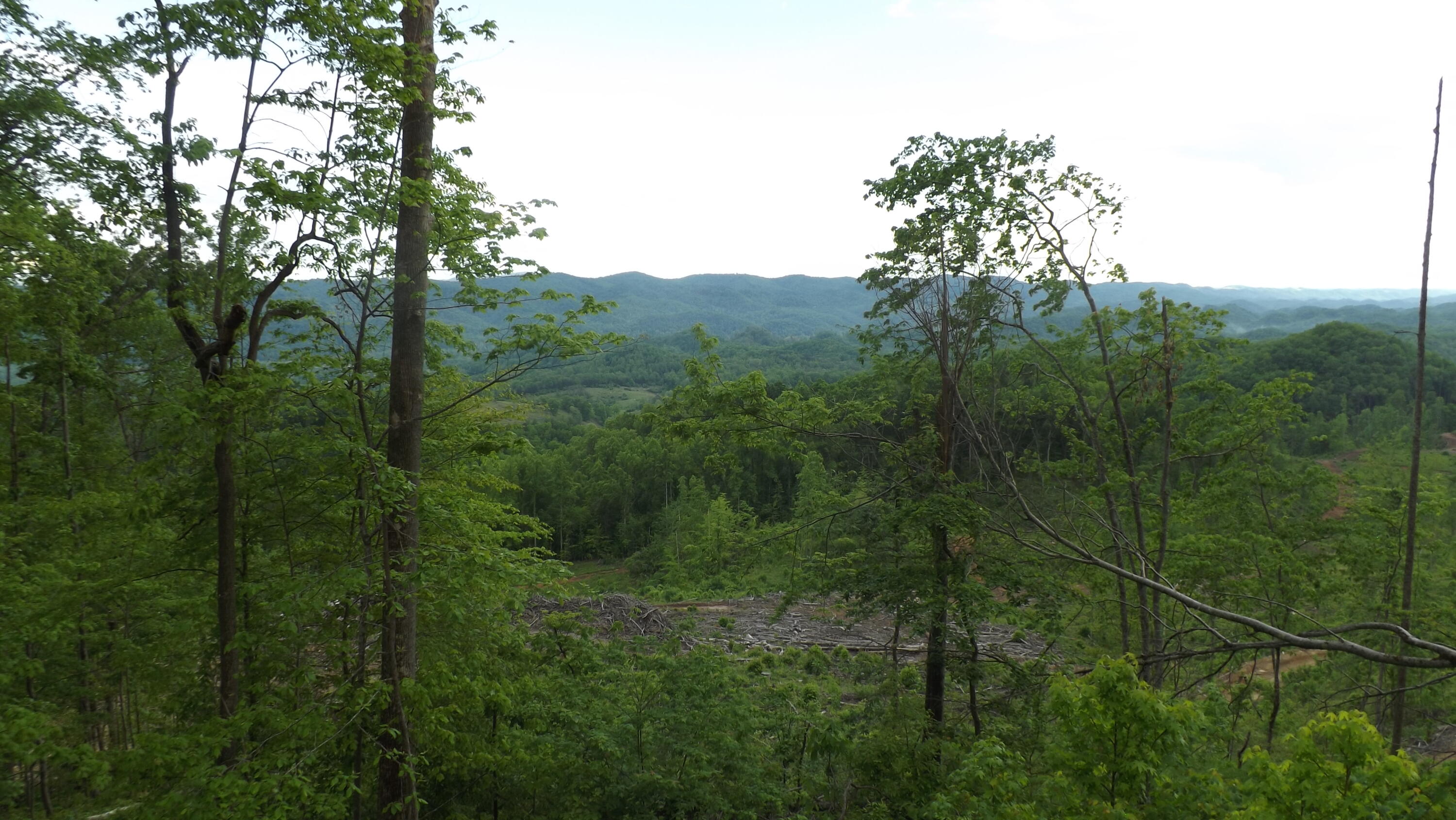 0 Osborne Ridge Road Dungannon, VA 24245 - Photo 21 of 23 DSCF3760