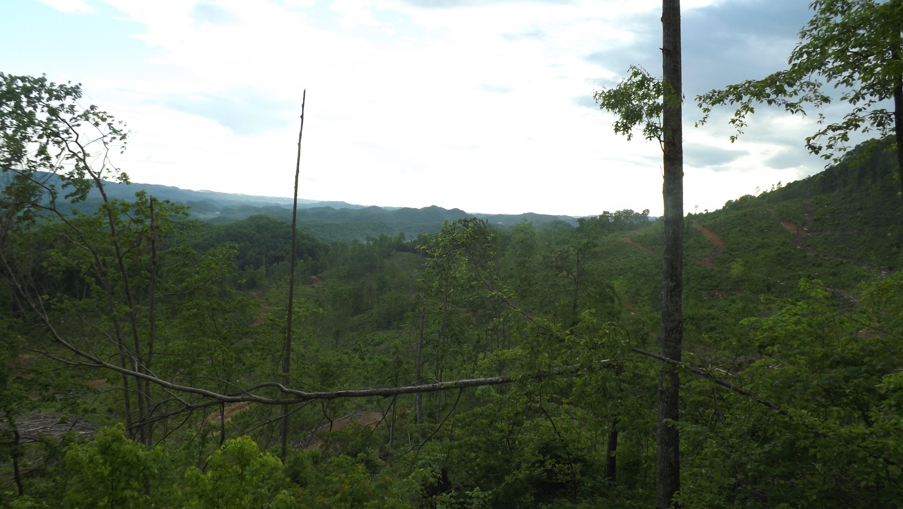 0 Osborne Ridge Road Dungannon, VA 24245 - Photo 22 of 23 DSCF3761