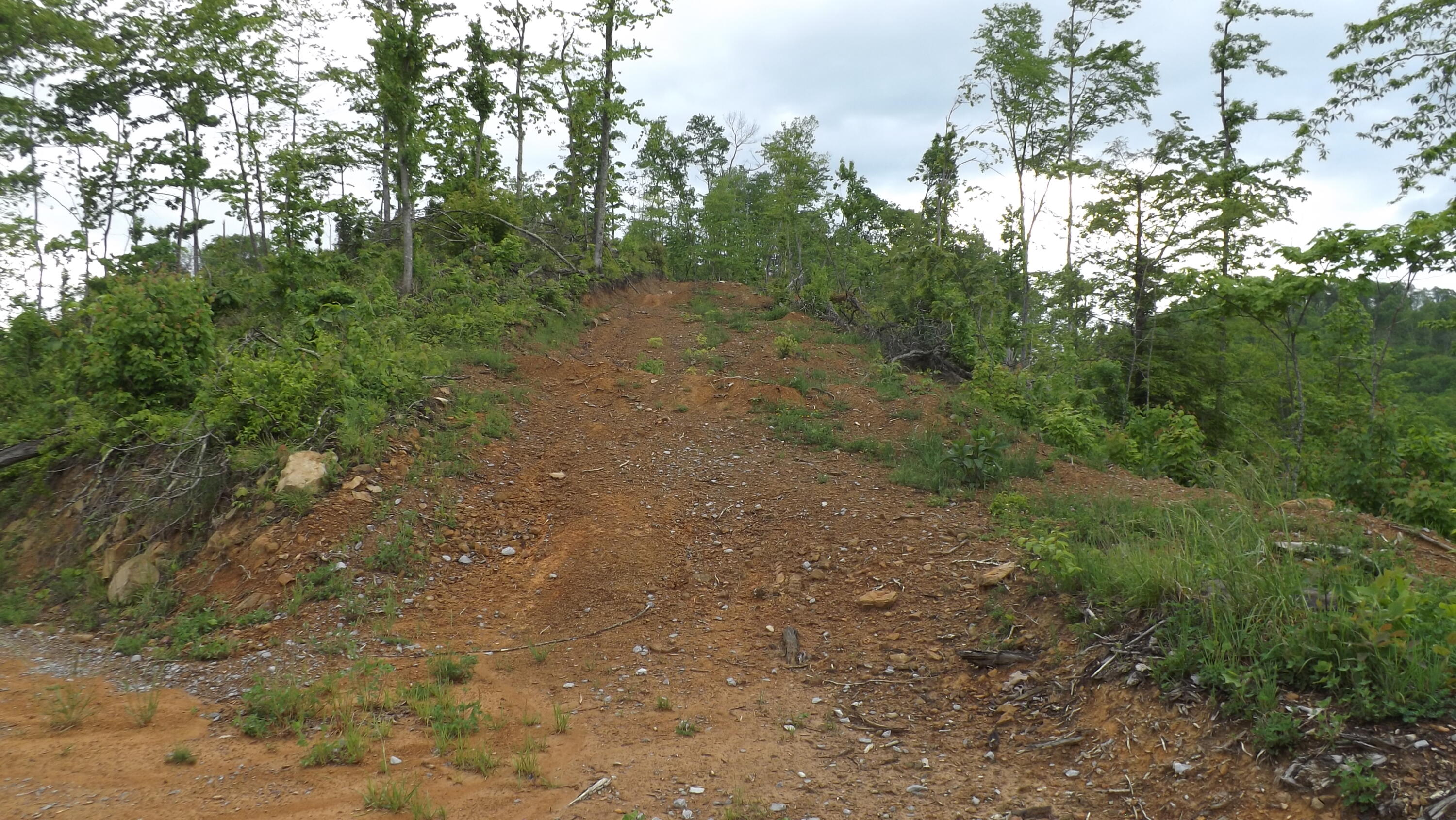 0 Osborne Ridge Road Dungannon, VA 24245 - Photo 5 of 23 DSCF3742