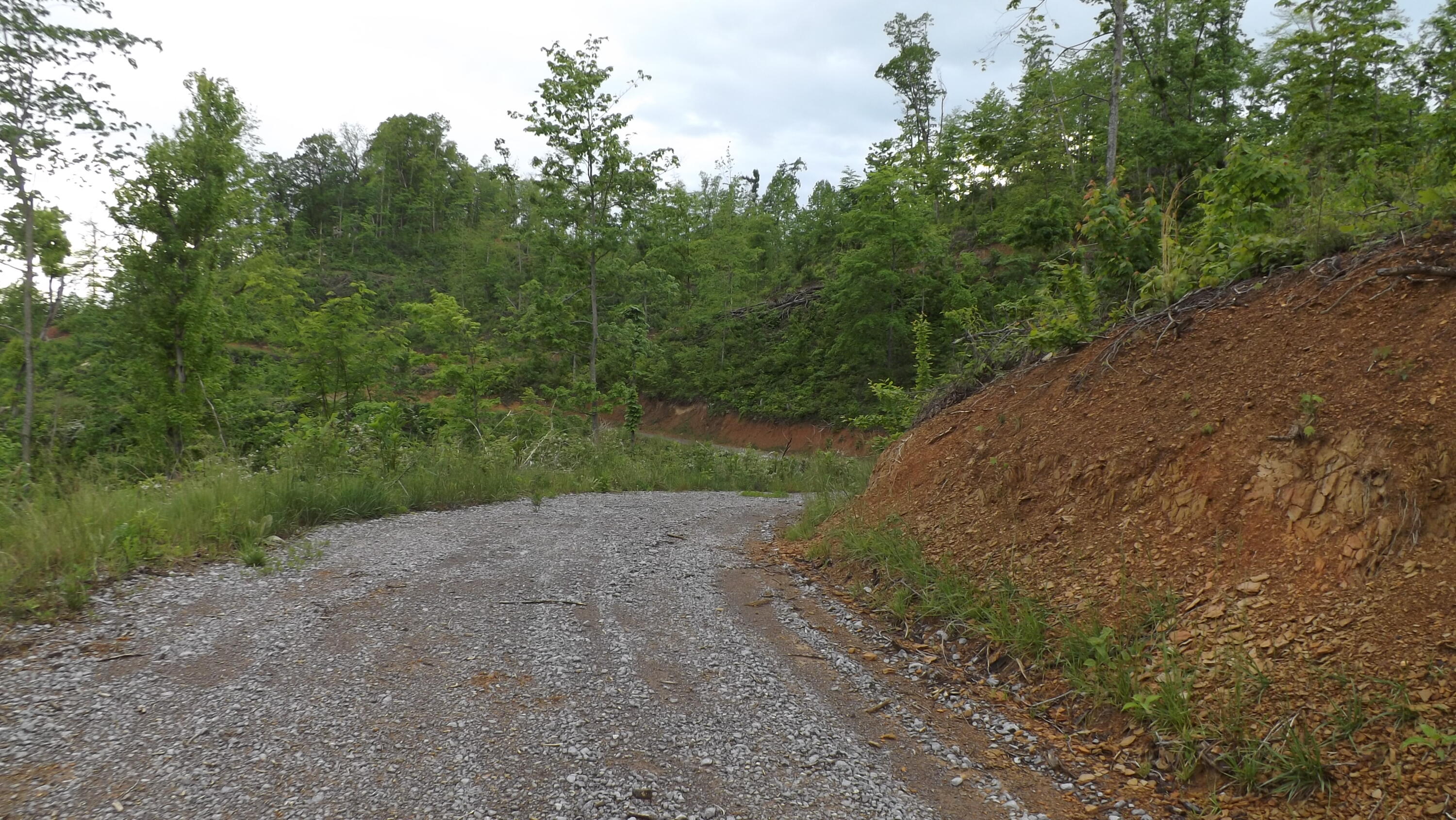 0 Osborne Ridge Road Dungannon, VA 24245 - Photo 6 of 23 DSCF3743