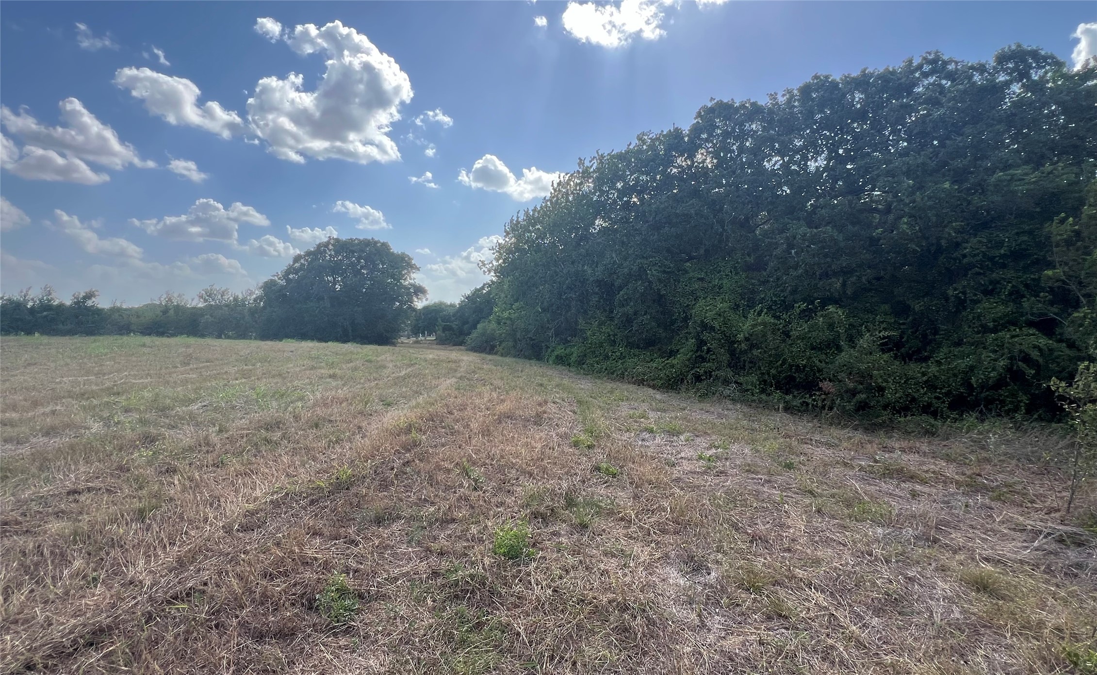 2325 Valenta Road La Grange, TX 78945 - Photo 14 of 40 Gallery Image 14