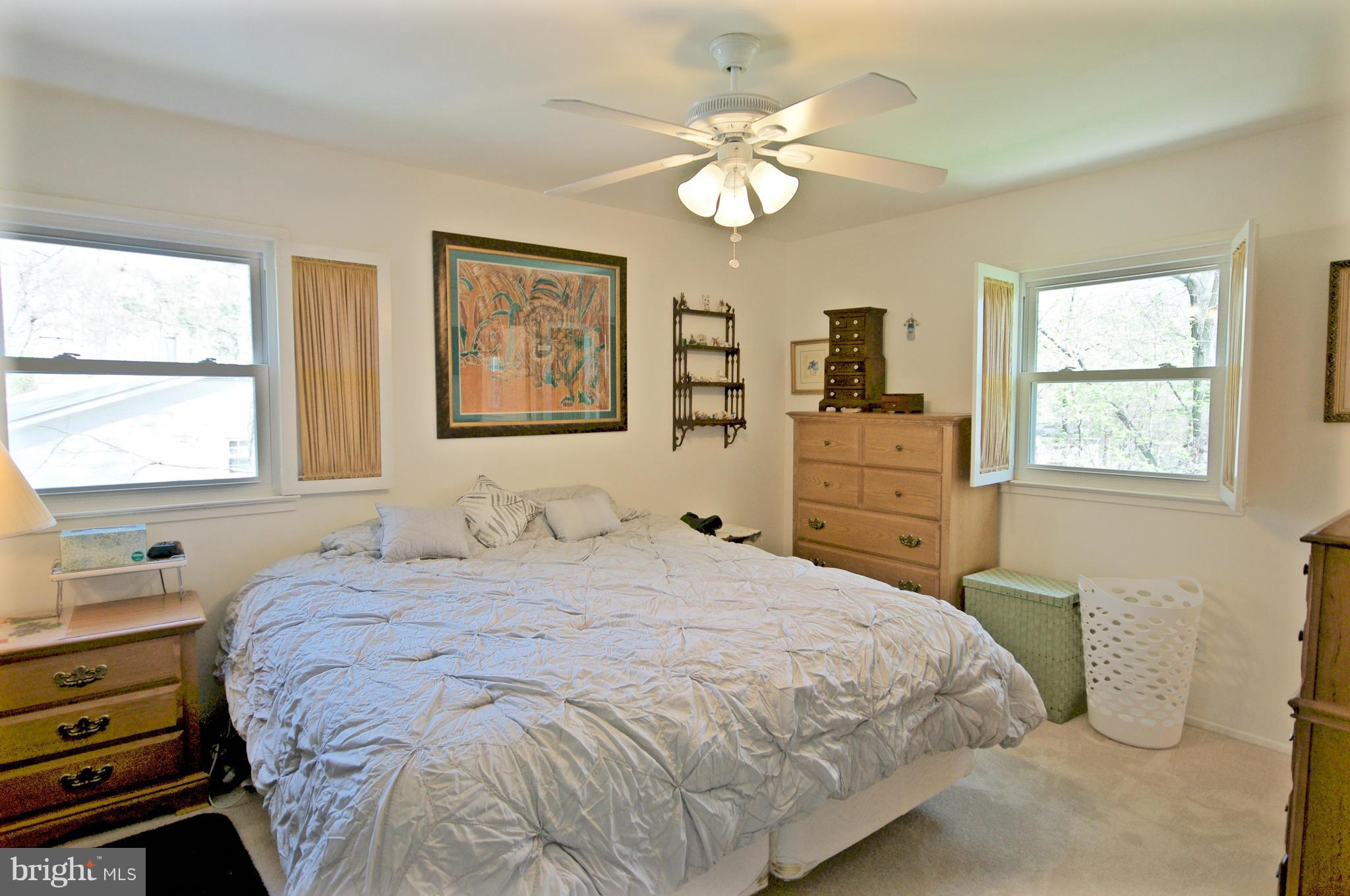 6409 Rivington Road Springfield, VA 22152 - Photo 19 of 29 Bath (Master)