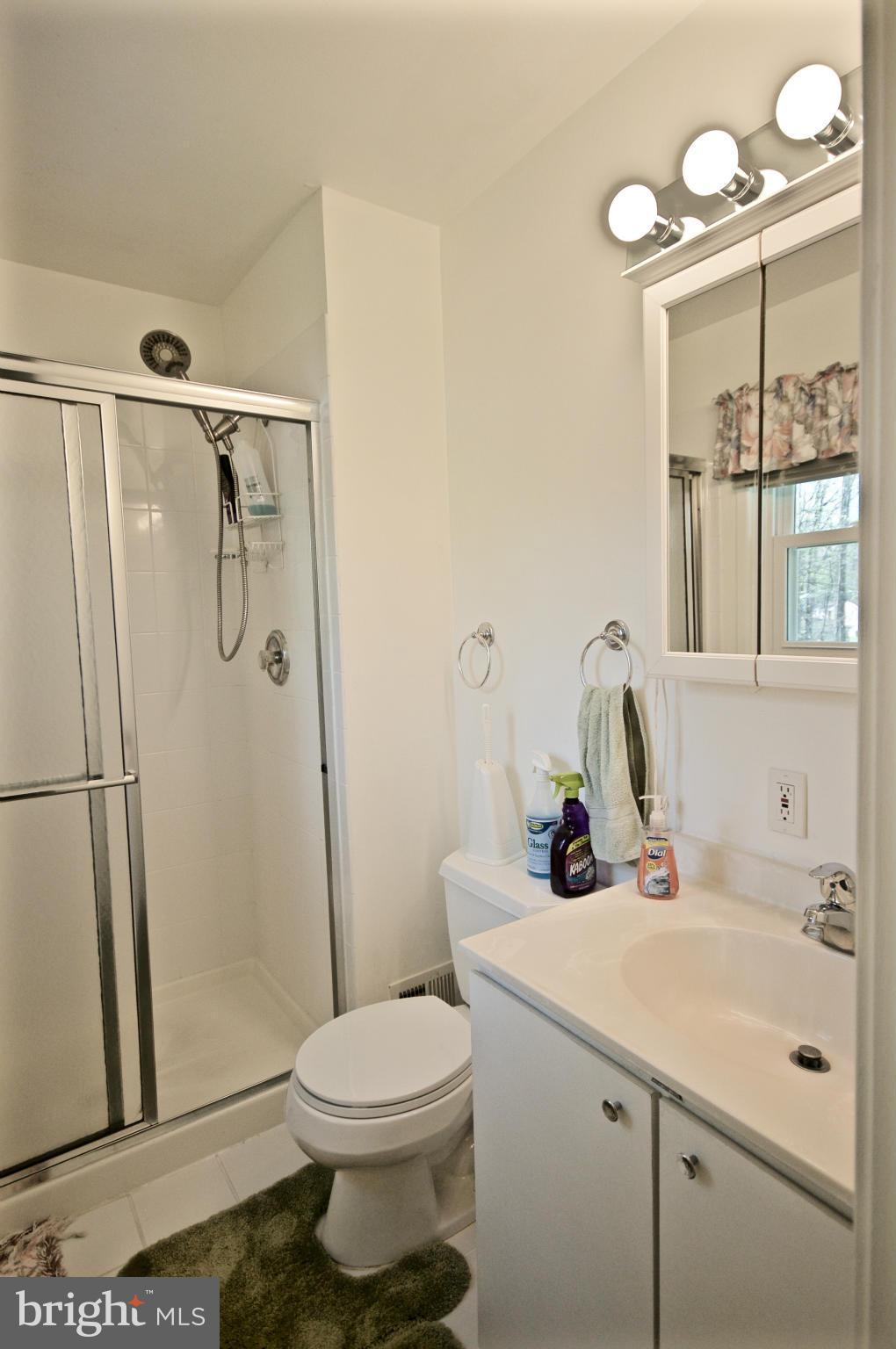 6409 Rivington Road Springfield, VA 22152 - Photo 20 of 29 Bath (Master)