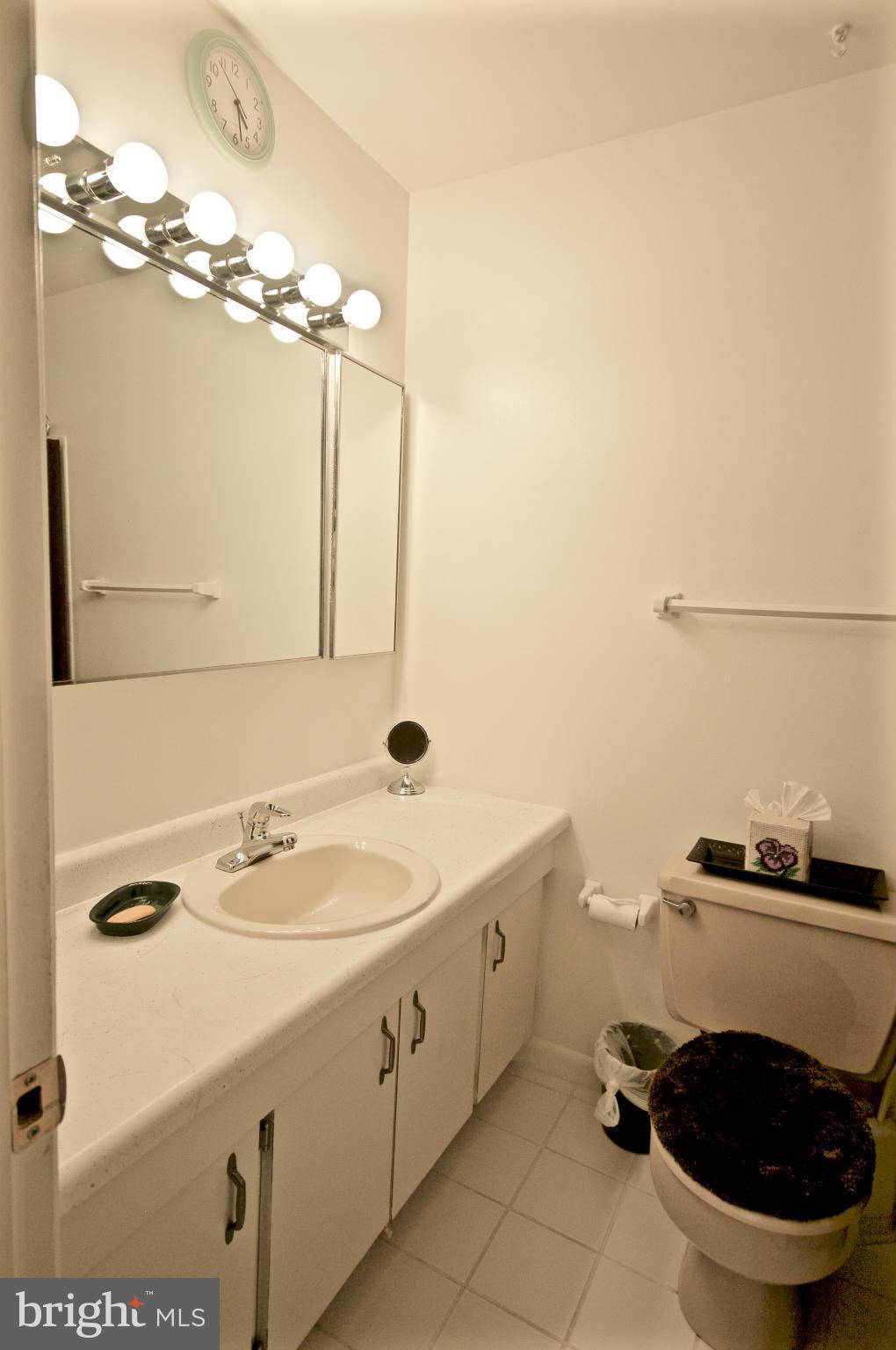 6409 Rivington Road Springfield, VA 22152 - Photo 22 of 29 Bath