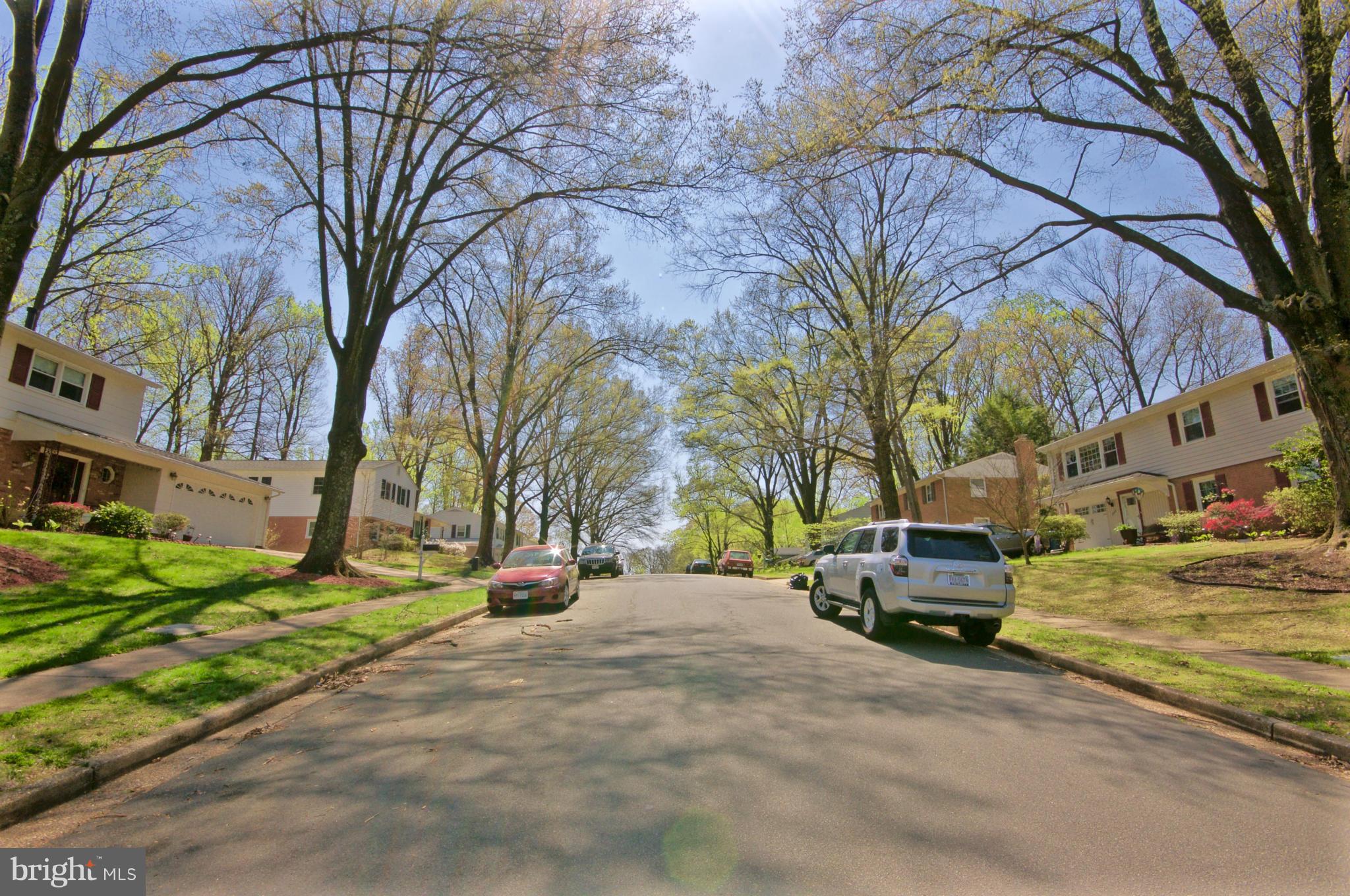 6409 Rivington Road Springfield, VA 22152 - Photo 26 of 29 Community