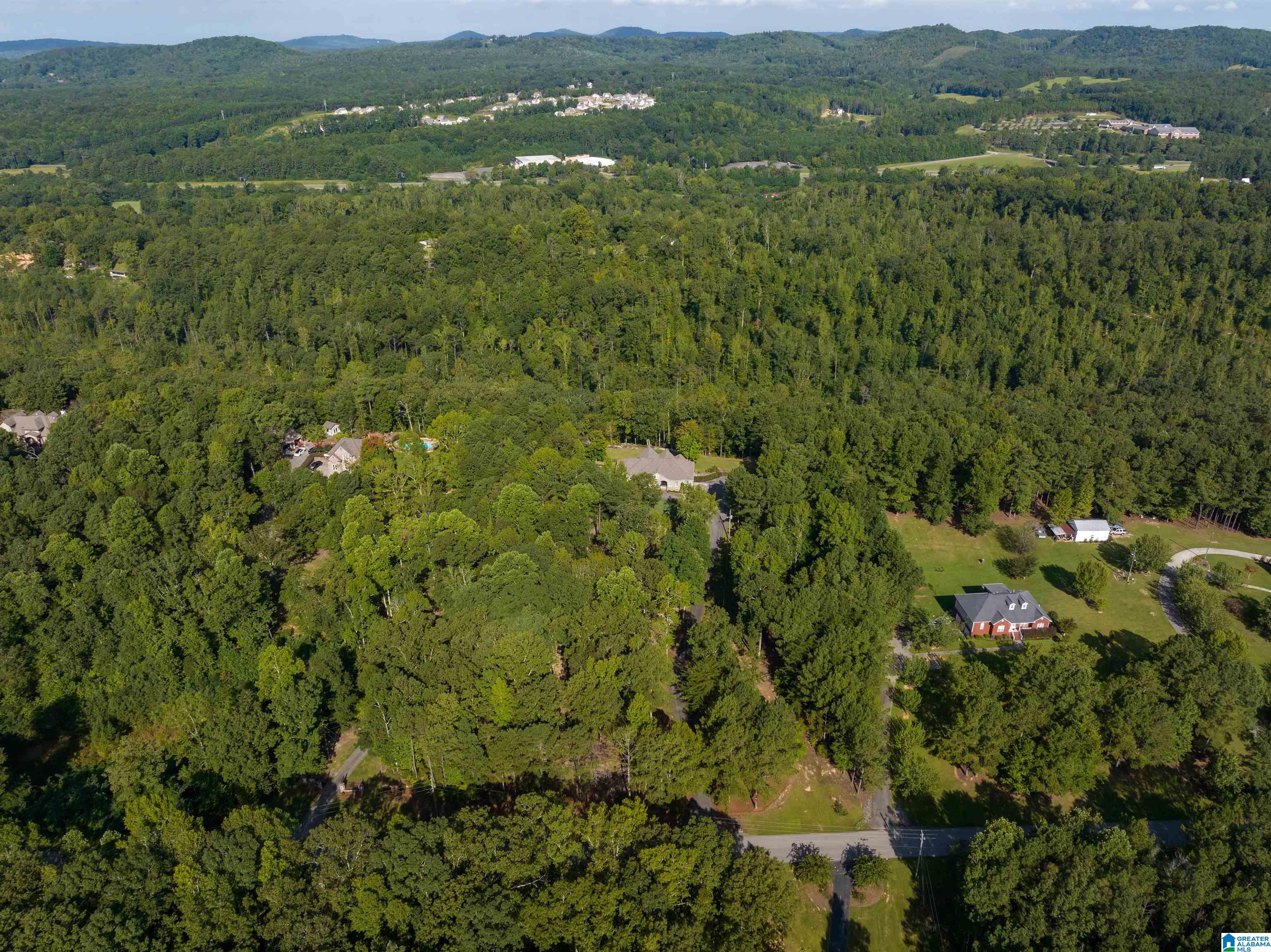 266 Hickory Valley Road Trussville, AL 35173 - Photo 5 of 61