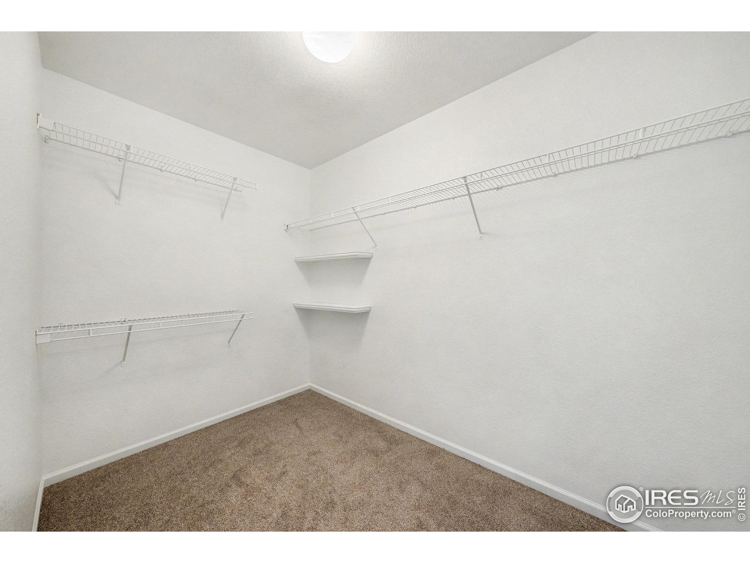5740 High Street Frederick, CO 80504 - Photo 9 of 34 a view of a room with racks on the wall