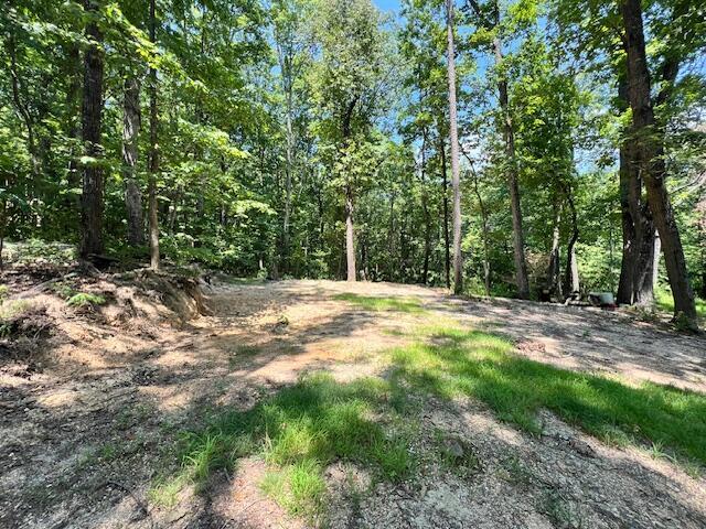 322 Baggett Road Ringgold, GA 30736 - Photo 16 of 18 IMG_1934