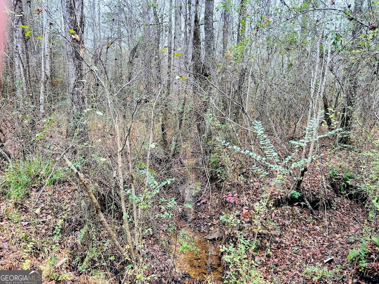 0 Hopeful Road, Unit LOT 2 Munford, AL 36268 - Photo 18 of 19