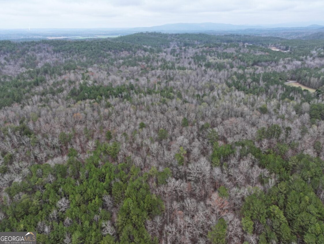 0 Hopeful Road, Unit LOT 2 Munford, AL 36268 - Photo 6 of 19