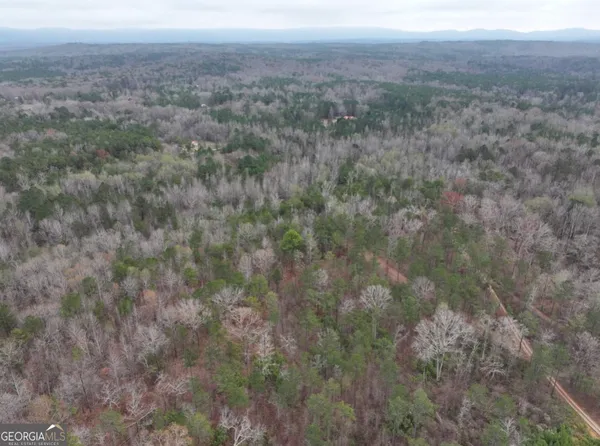 $61,775 | 0 Hopeful Road, Unit LOT 2, Munford, AL 36268