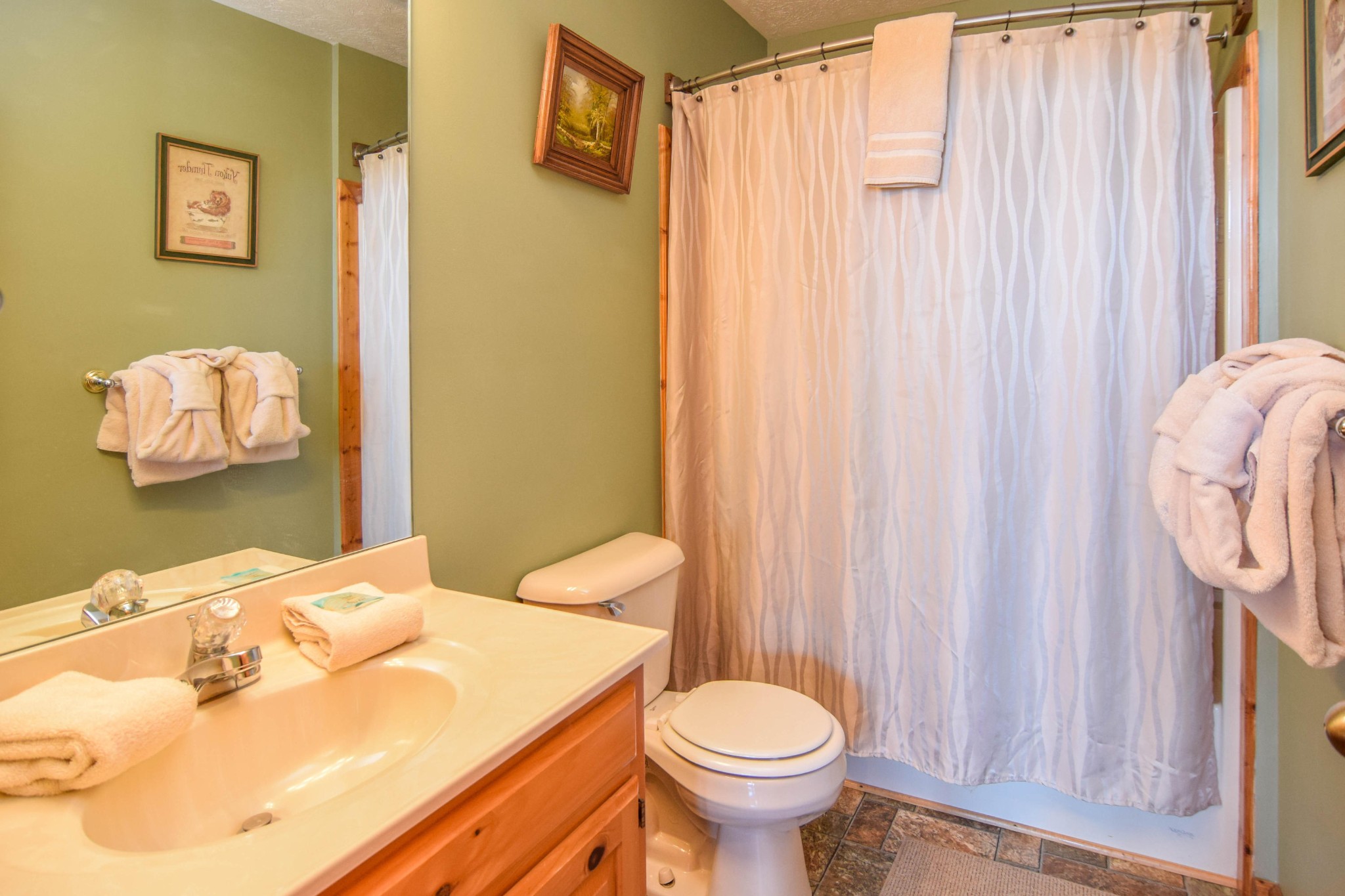 2409 Walnut Cove Way Sevierville, TN 37862 - Photo 19 of 27