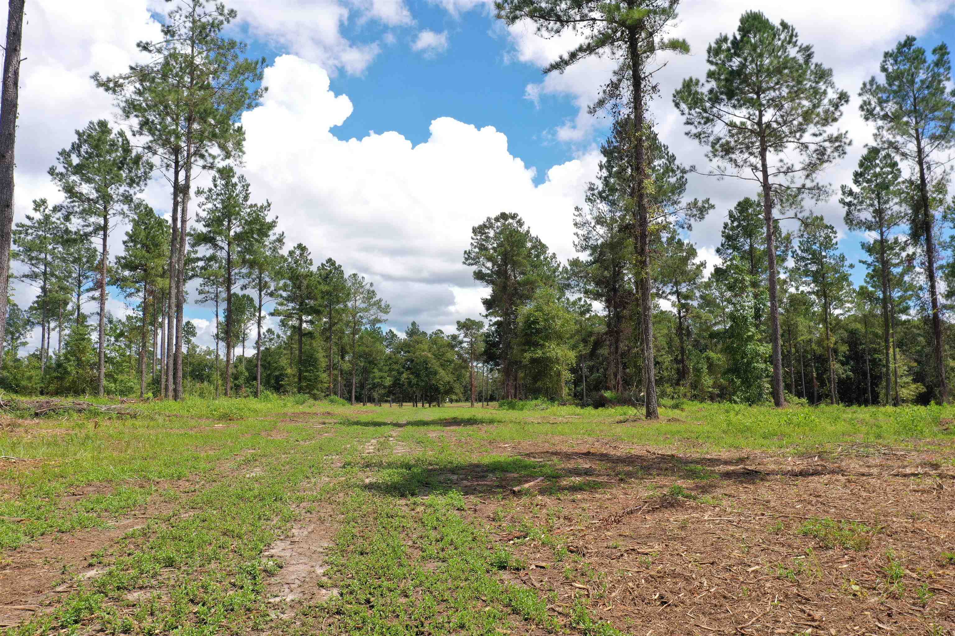 Xxx Salem Road Quincy, FL 32352 - Photo 1 of 18 Gallery Image 1
