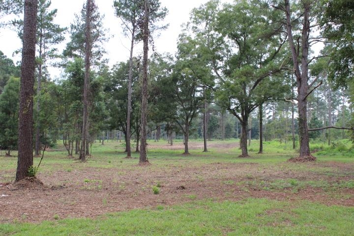 Xxx Salem Road Quincy, FL 32352 - Photo 11 of 18 Gallery Image 11