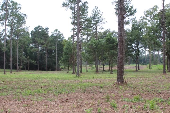 Xxx Salem Road Quincy, FL 32352 - Photo 12 of 18 Gallery Image 12