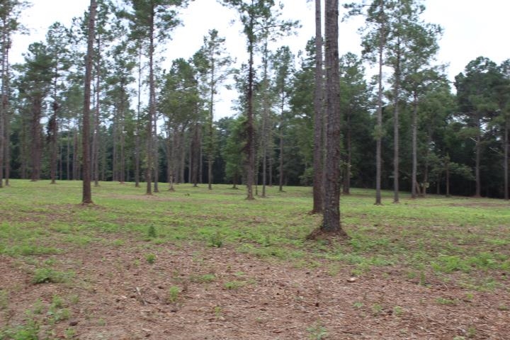 Xxx Salem Road Quincy, FL 32352 - Photo 14 of 18 Gallery Image 14