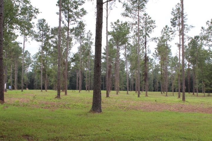 Xxx Salem Road Quincy, FL 32352 - Photo 16 of 18 Gallery Image 16